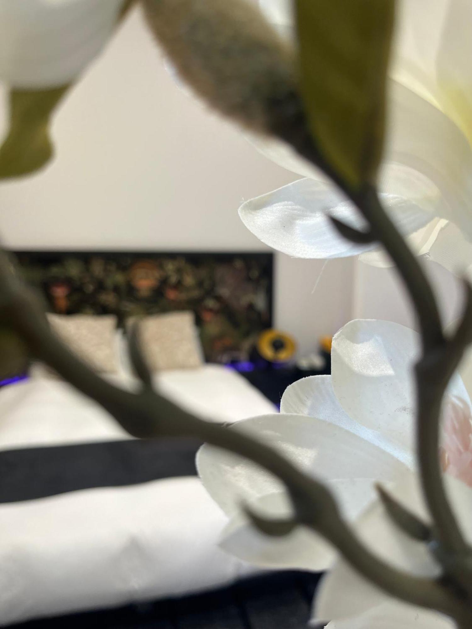 White Castle - Charleroi Airport Bed & Breakfast エクステリア 写真